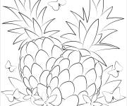 Coloriage Fruits tropicaux &agrave; motif