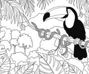Coloriage Illustration de la jungle amazonienne tropicale