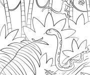 Coloriage Illustration de la jungle tropicale
