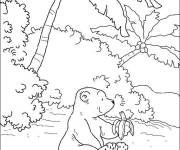 Coloriage Le petit ours polaire dans la jungle tropicale de cartoon