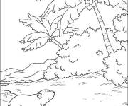 Coloriage Ours polaire sur une &icirc;le