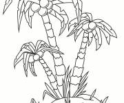 Coloriage palmier style tropical