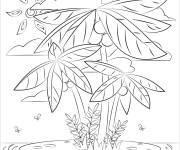 Coloriage Paysage tropicale magnifique
