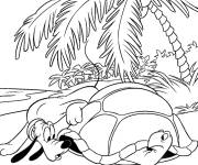 Coloriage et dessins gratuit Pluto et une tortue sur l'ile tropicale à imprimer
