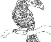 Coloriage Toucan anti-stress