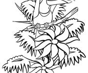 Coloriage et dessins gratuit Toucan dans la jungle adorables à imprimer