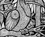Coloriage Toucan zentangle tropicale