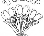 Coloriage Bouquet de Fleurs de Tulipe