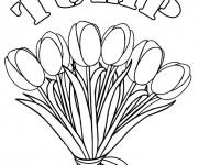 Coloriage Bouquet de Fleurs de Tulipe