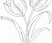 Coloriage D&eacute;coration de Fleur Tulipe
