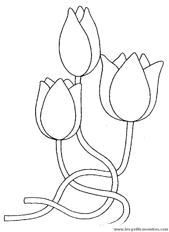Coloriage et dessins gratuits Des Fleurs Tulipes magnifiques à imprimer