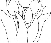 Coloriage Des Tulipes en toute beaut&eacute;