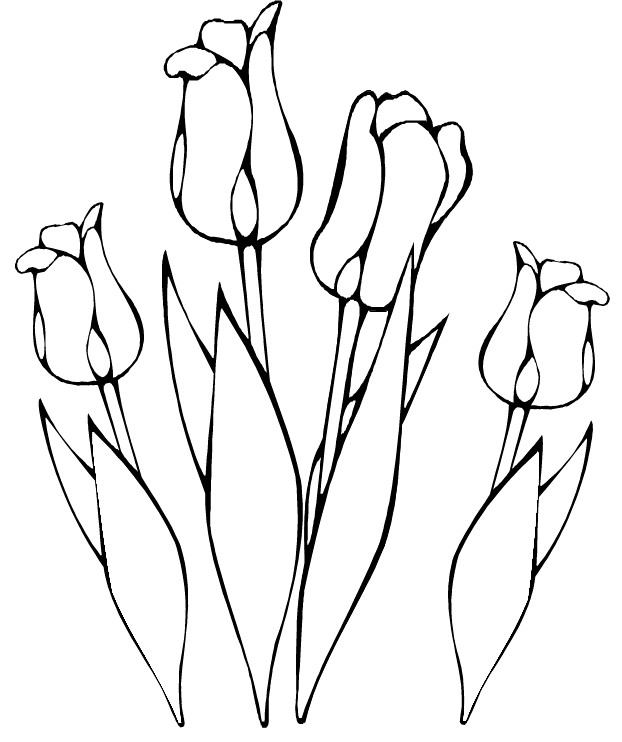 Coloriage et dessins gratuits Des Tulipes  en vecteur à colorier à imprimer