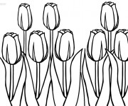 Coloriage Des Tulipes superbe