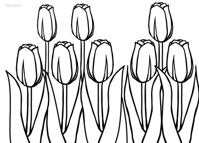Coloriage et dessins gratuits Des Tulipes superbe à imprimer