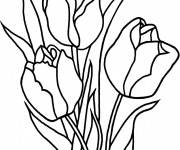 Coloriage Fleurs de Tulipe