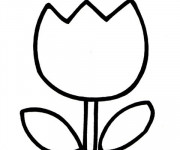 Coloriage La Tulipe simplifiée