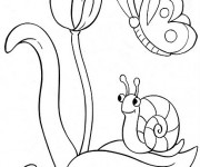 Coloriage Le Papillon et La  Tulipe