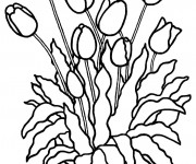 Coloriage Les Tulipes dans un Petit Pot