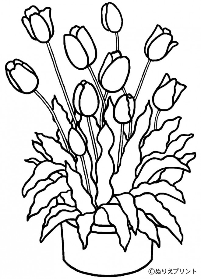 Coloriage et dessins gratuits Les Tulipes dans un Petit Pot à imprimer