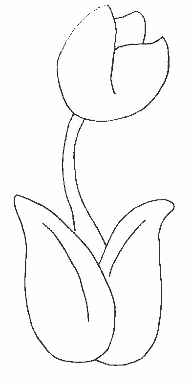 Coloriage et dessins gratuits Miniature de Fleur Tulipe à imprimer
