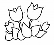 Coloriage Tulipe &agrave; compl&eacute;ter
