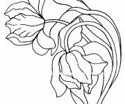Coloriage Tulipe &agrave; t&eacute;l&eacute;charger