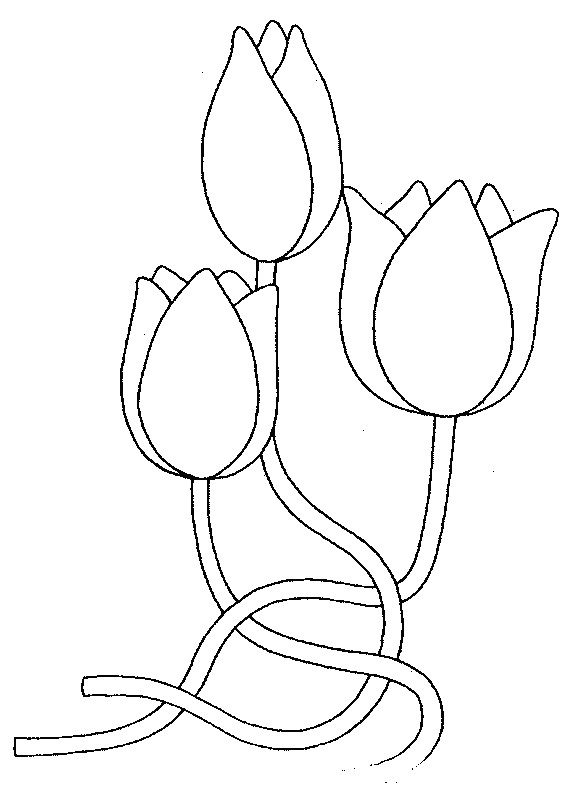 Coloriage et dessins gratuits Tulipe Artistique à imprimer
