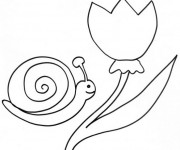 Coloriage Tulipe et Escargot