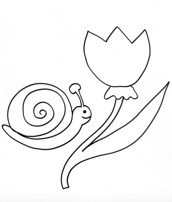 Coloriage et dessins gratuits Tulipe et Escargot à imprimer
