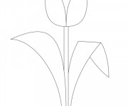 Coloriage Tulipe facile &agrave; t&eacute;l&eacute;charger