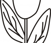 Coloriage Tulipe facile dessin&eacute; par Le Crayon