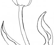 Coloriage Tulipe Fermée à découper