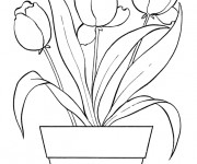 Coloriage Tulipe magique