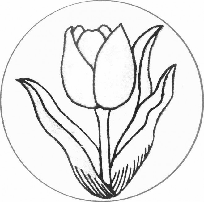 Coloriage et dessins gratuits Tulipe Mandala à imprimer