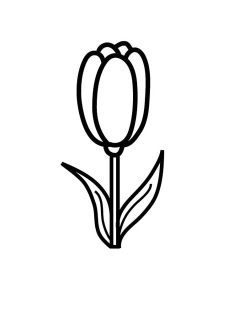Coloriage et dessins gratuits Tulipe maternelle à imprimer
