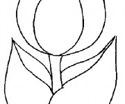 Coloriage Tulipe Peinture