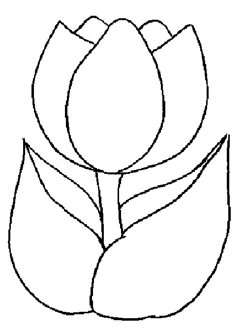 Coloriage et dessins gratuits Tulipe Peinture à imprimer