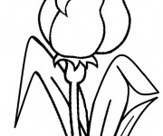Coloriage Tulipe qui s'ouvre