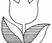 Coloriage Tulipe ray&eacute;e