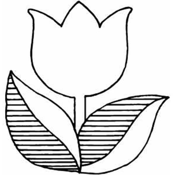 Coloriage et dessins gratuits Tulipe rayée à imprimer