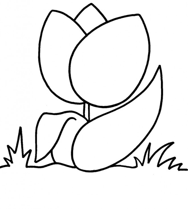 Coloriage et dessins gratuits Tulipe stylisée simple à imprimer