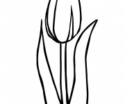 Coloriage et dessins gratuit Tulipe vecteur à imprimer