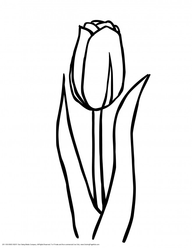 Coloriage et dessins gratuits Tulipe vecteur à imprimer