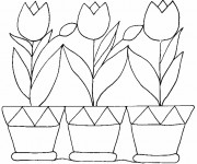 Coloriage et dessins gratuit Tulipes et Pots à imprimer