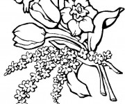Coloriage Tulipes et Roses