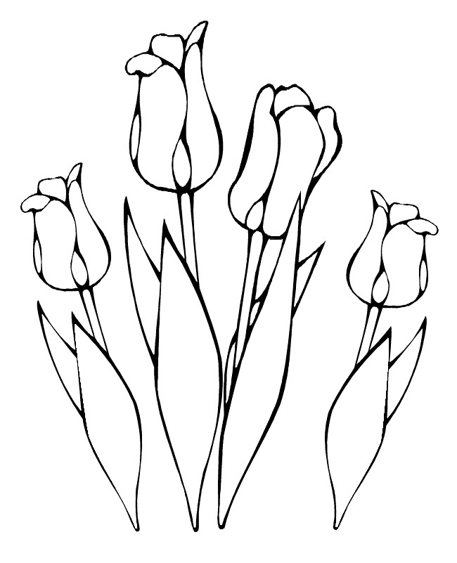 Coloriage et dessins gratuits Tulipes Plantes à imprimer