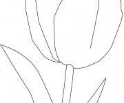 Coloriage Une Grosse Tulipe stylis&eacute;e