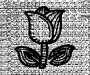 Coloriage Une Petite Tulipe en noir et blanc