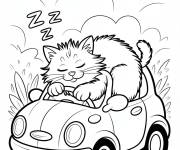 Coloriage Le chat chauffeur dormant dans sa voiture